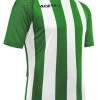 Acerbis Trikot Johan Grün-weiß