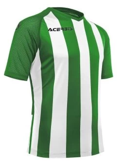 Acerbis Trikot Johan Grün-weiß