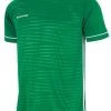 Stanno Trikot Dash Grün-weiß