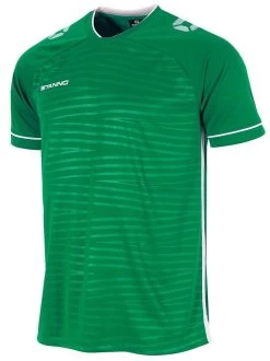 Stanno Trikot Dash Grün-weiß