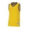 Errea Basketball Shirt California Gelb-blau