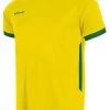 Stanno Trikot First Gelb-grün