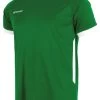 Stanno Trikot First Grün-weiß
