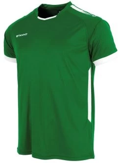 Stanno Trikot First Grün-weiß