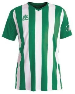 Luanvi Trikot New Listada Grün-weiß