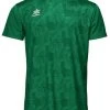 Luanvi Trikot Porto Grün