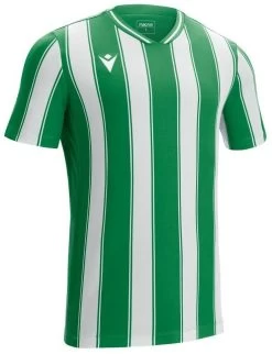 Macron Trikot Sceptrum Grün-weiß