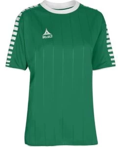 Select Damen Handball Trikot Argentina Grün-weiß