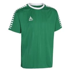 Select Trikot Argentina Grün-weiß