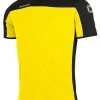 Stanno Trikot Pride Gelb-schwarz