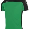Stanno Trikot Pride Grün-schwarz