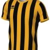 Errea Trikot Strip Schwarz-bernsteingelb