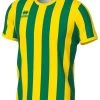 Errea Trikot Strip Grün-gelb