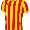 Errea Trikot Strip Rot-gelb