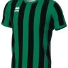 Errea Trikot Strip Schwarz-grün