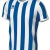 Errea Trikot Strip Blau-weiß